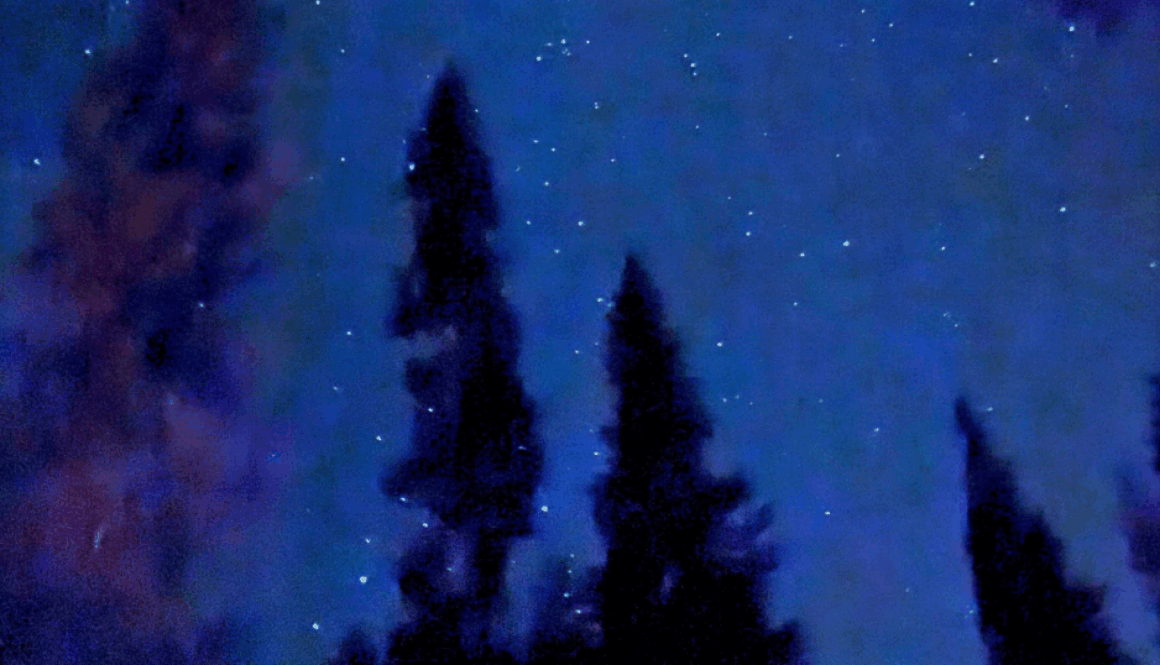 August 3 Image