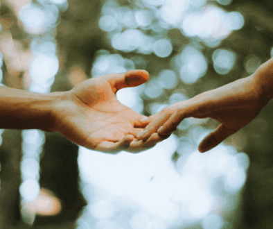 _11.16 Bulletin Cover